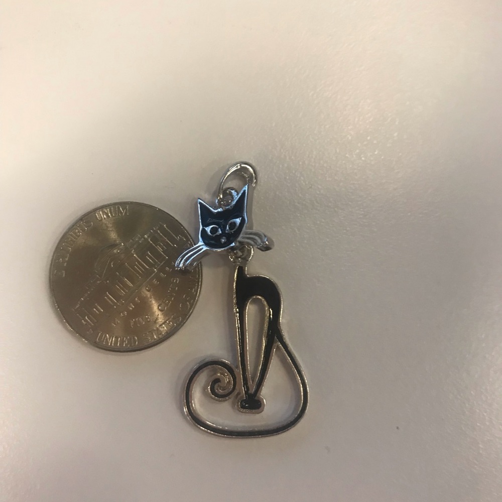 Cat charm